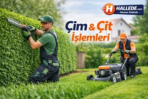 Çim Çit