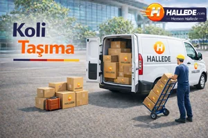 Koli Taşıma