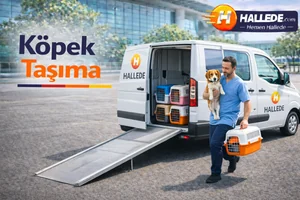 Köpek Taşıma