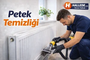 Petek Temizliği