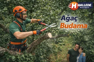 Ağaç Budama