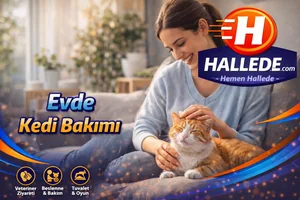 Evde Kedi Bakımı