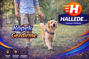 Köpek Gezdirme