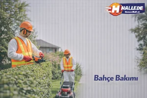 Bahçe Bakımı